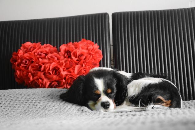 il suo posto preferito