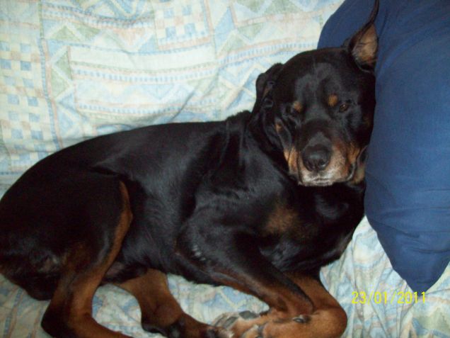 la pennichella pomeridiana!!!!