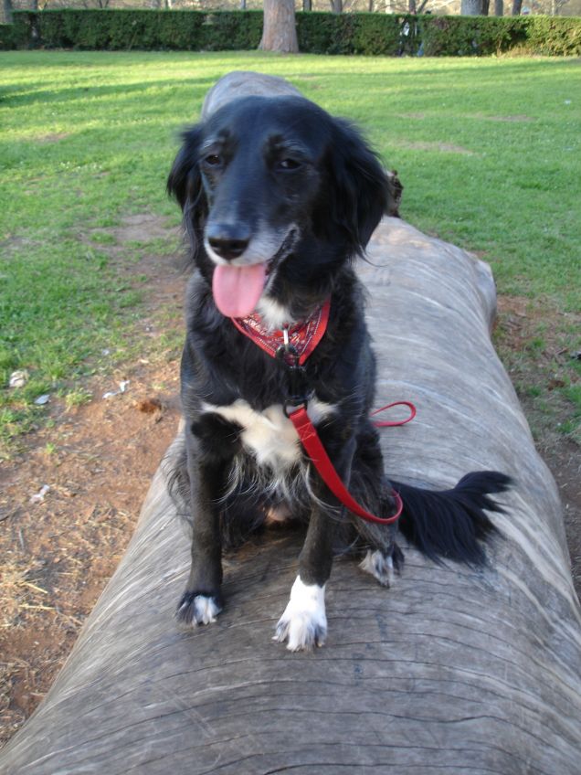 Maya a villa borghese