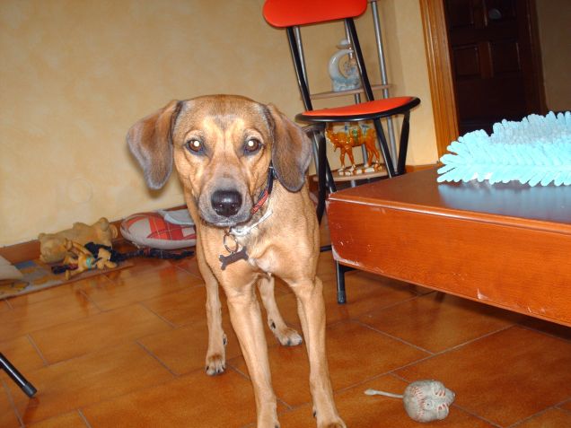 Io e la mia migliore amica