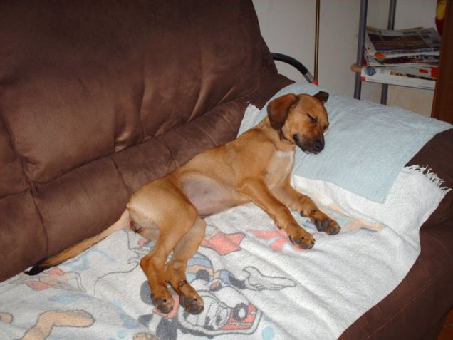 La mia piccola Shila...