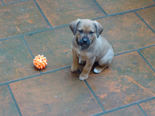 La mia cucciolona!!!!