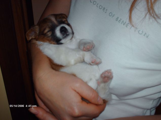 sono piccola -piccola