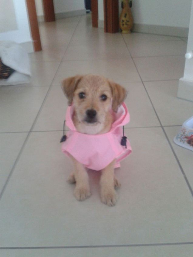 Pronta per andare a fare una bella passeggiata!