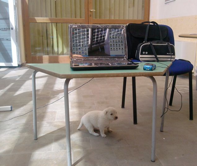 La mia piccola Sissi