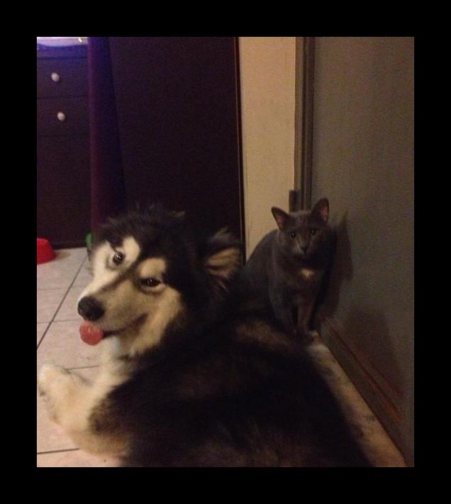 amore a prima vista!