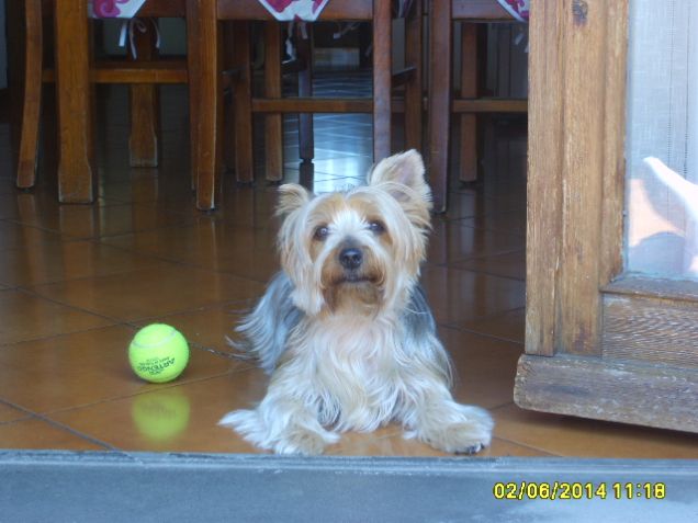 riposino ti prego ;)