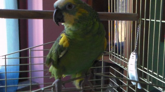 faccio un po' il vergognoso!!!!