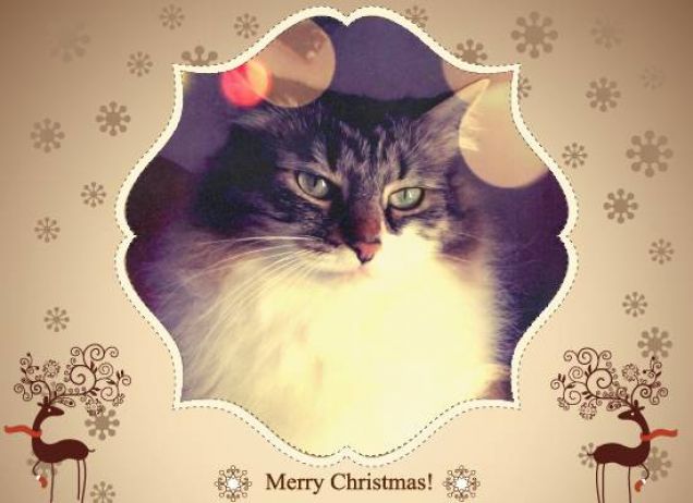 Ciao a tutti e buone feste!