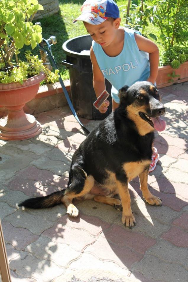 fermo che ti faccio ancor più bello....