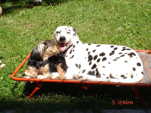 più che amiche...sorelle! 