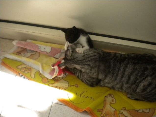 qui sono con miki la mia vittima