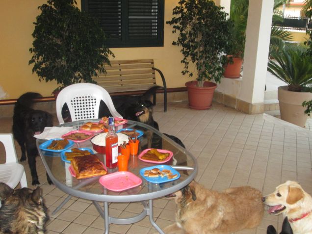 festa di compleanno 11-07-2013 il primo anno dei cuccioli