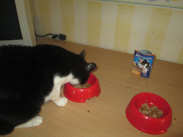 sono arrivate le felix.sensations