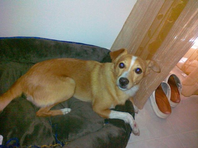 Axel nella sua bellissima cuccetta!!! 