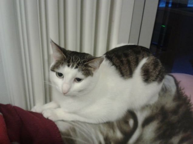 CHRIS VICINO AL TERMO