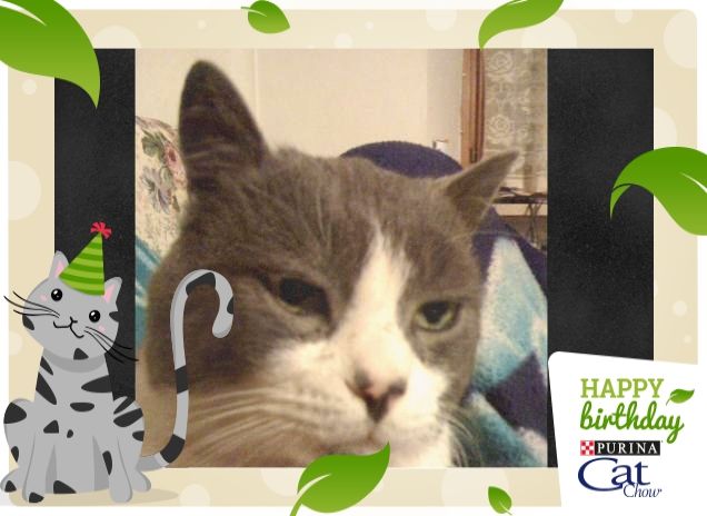 ma il mio compleanno quand'è?