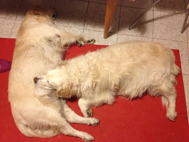 nanna vicine vicine!