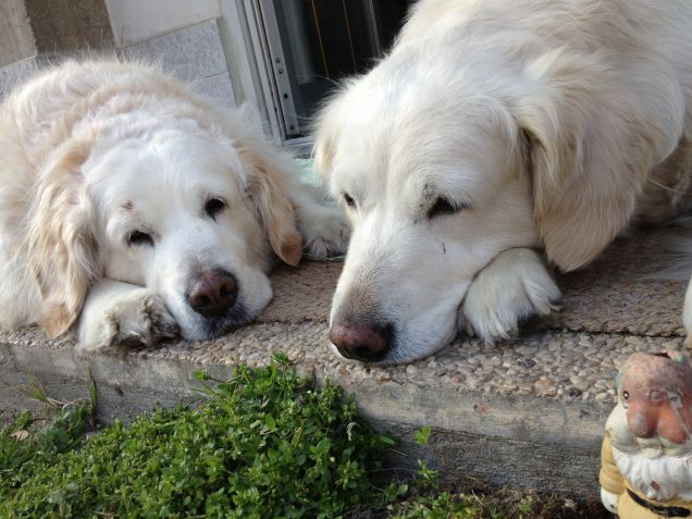 le mie belle bambine betti e cami