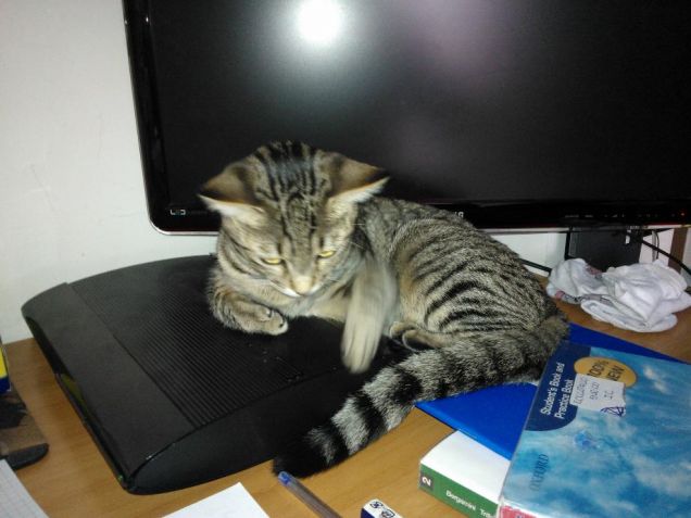 la trudy con la play