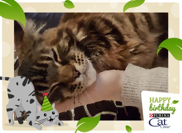 Uragano e tanti auguri 