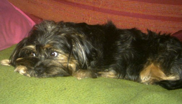 La nostra Principessa