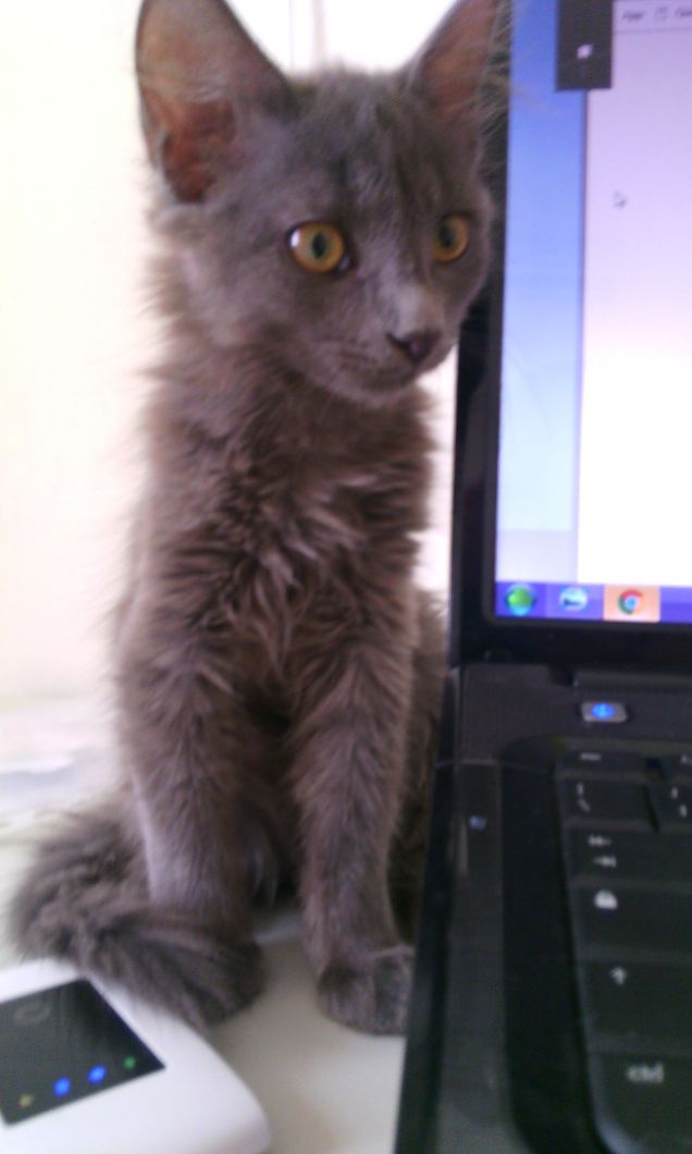 spegni il pc e coccolami un pò