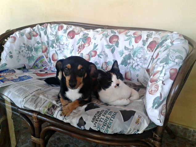 ..vi presento mia sorella, la mia migliore amica!