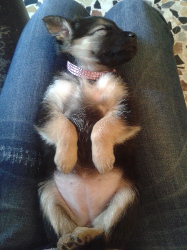 a Maya piace dormire cosi 