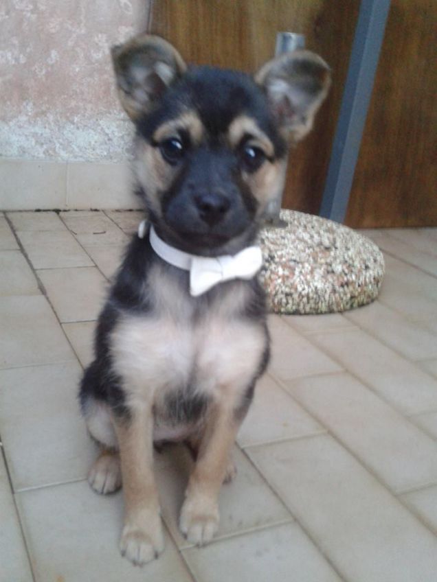 TANTI AUGURI DA MAYA