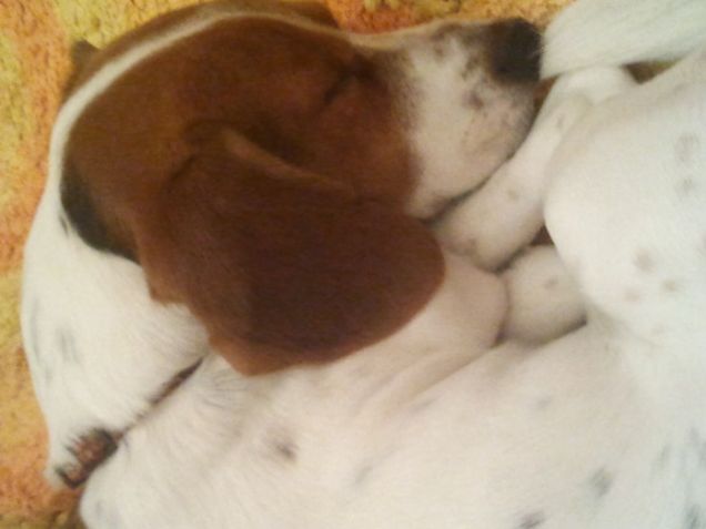 ninna nanna ninna oh!