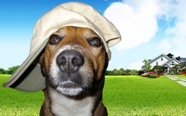 Che tipo da spiaggia! :)