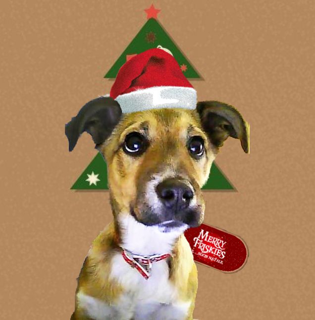 Oh oh oh Buon Natale :)