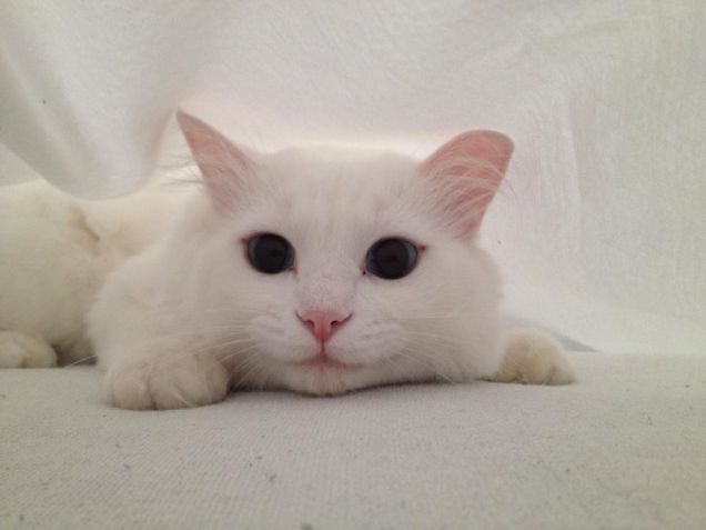 A rifare il letto ci penso io