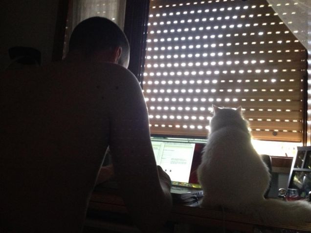 Fammi vedere dove mi hai taggato!