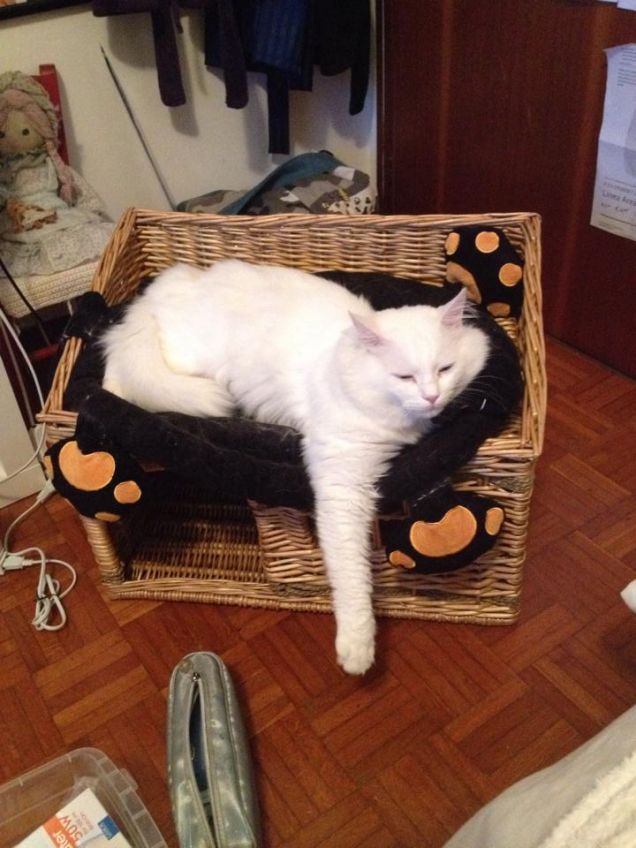 Cesto nuovo, testato!