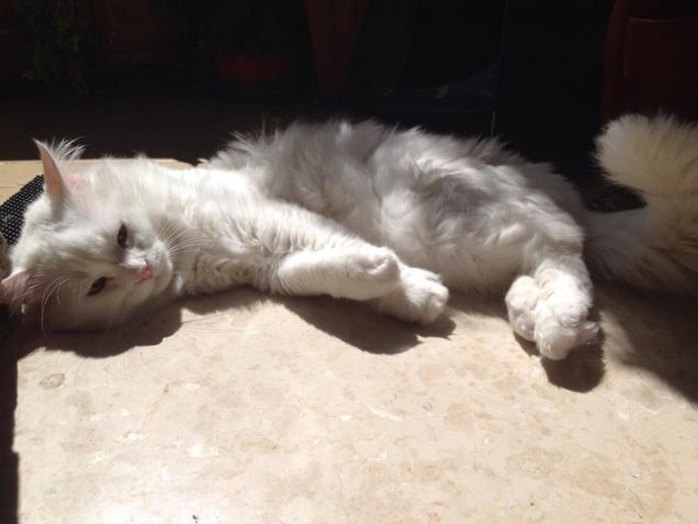 il poco sole di questa estate l'ho preso io!