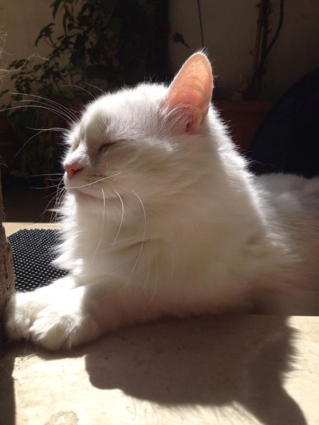 Il sole tutto per me!