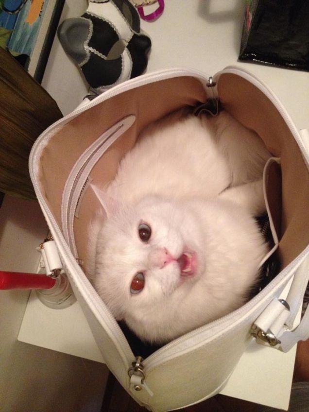 Non era per me? parte due