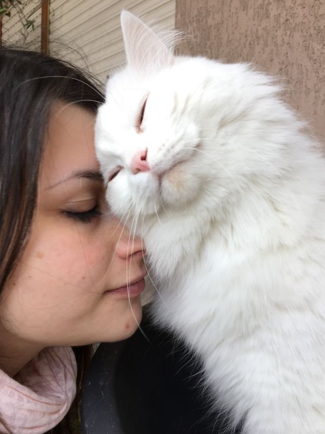 Coccolami, ti prego!