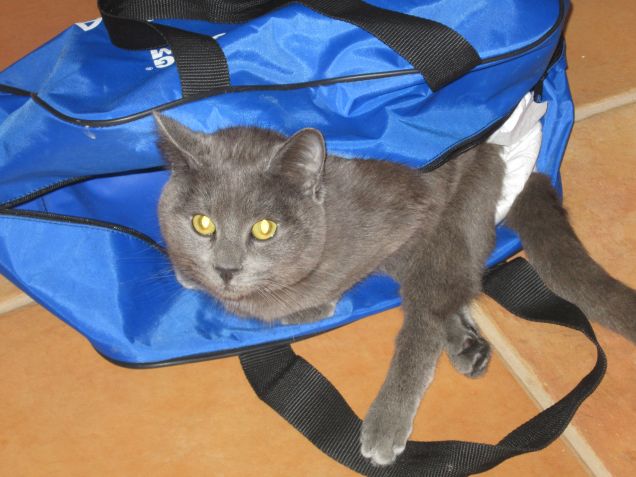 quanto mi piace il borsone di papà