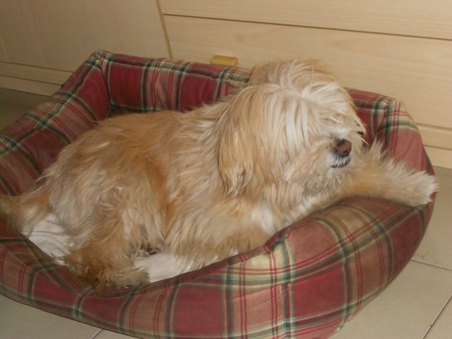 quasi quasi mò dormo..