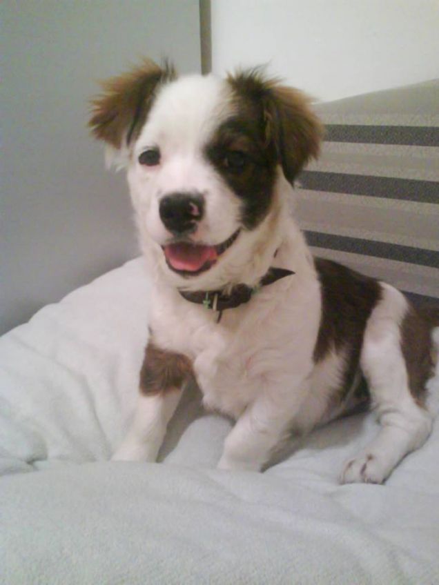 Sara... pronta a giocare