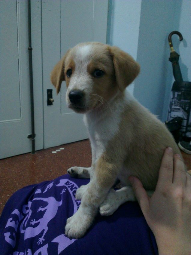 1 giorno con mamma e papa