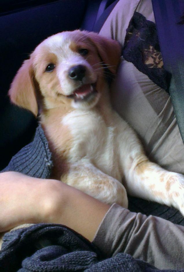 si va verso la mia nuova casa