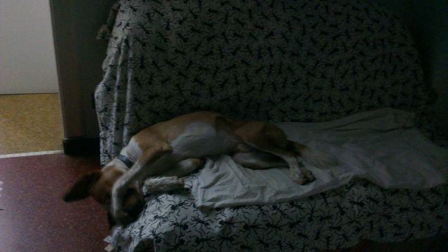 dormo ovunque in qualsiasi posizione...basta dormire