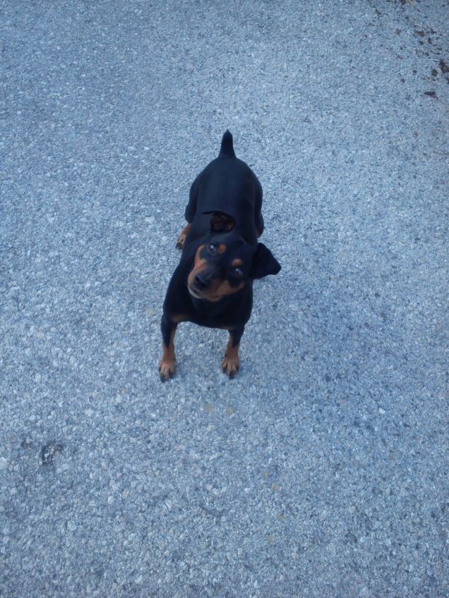 Il mio Nembo in montagna 