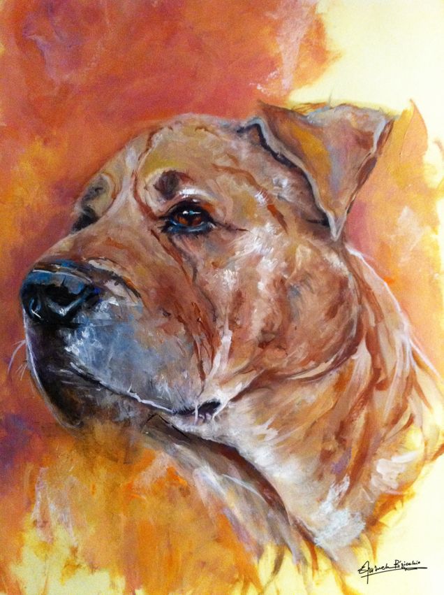 La fase del sospetto