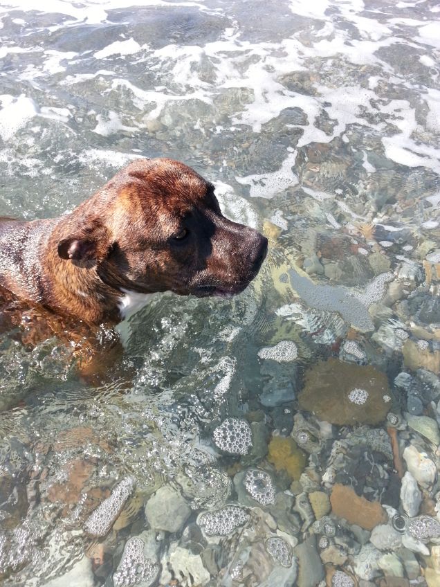 adoro fare il bagno...