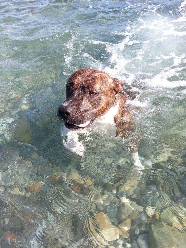 adoro fare il bagno...